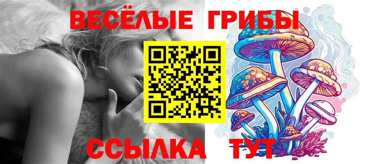 Галлюциногенные грибы мухоморы Рассказово