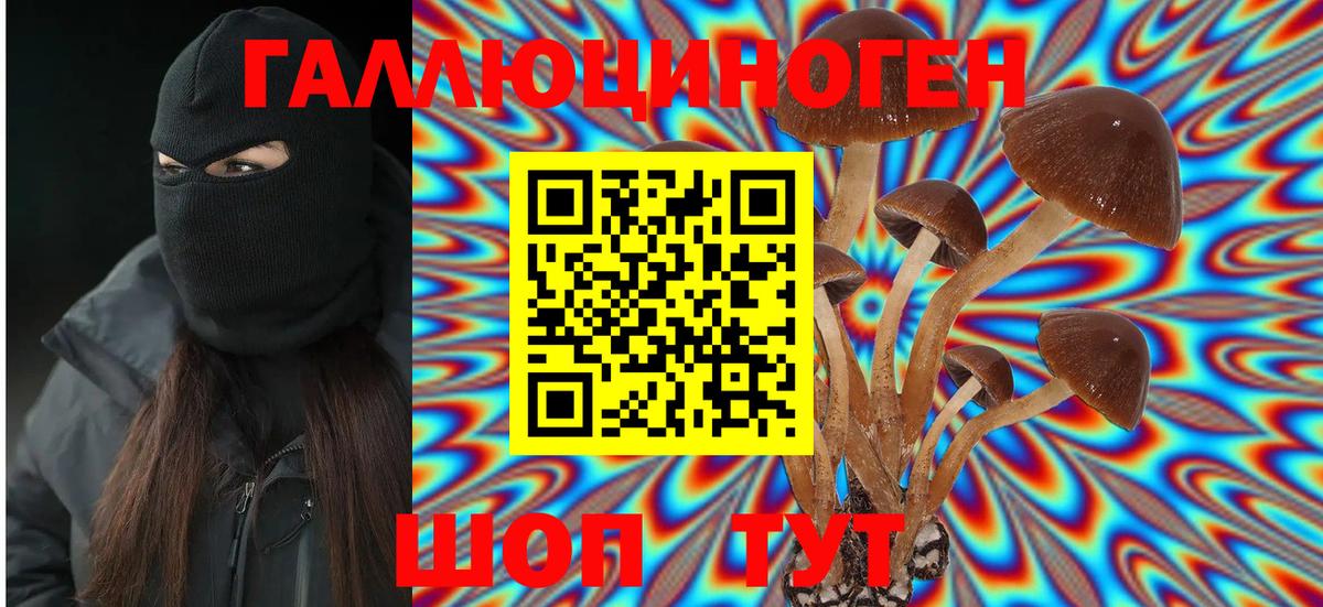 Рассказово  Галлюциногенные грибы Psilocybine cubensis  купить наркотик  Вход с VPN  Галлюциногенные грибы GOLDEN TEACHER 